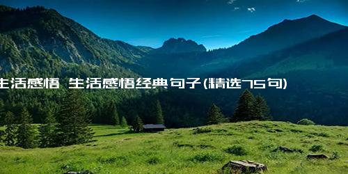 生活感悟 生活感悟经典句子(精选75句)
